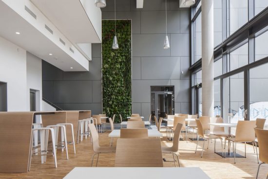 living wall innenraumbegrünung leonhards