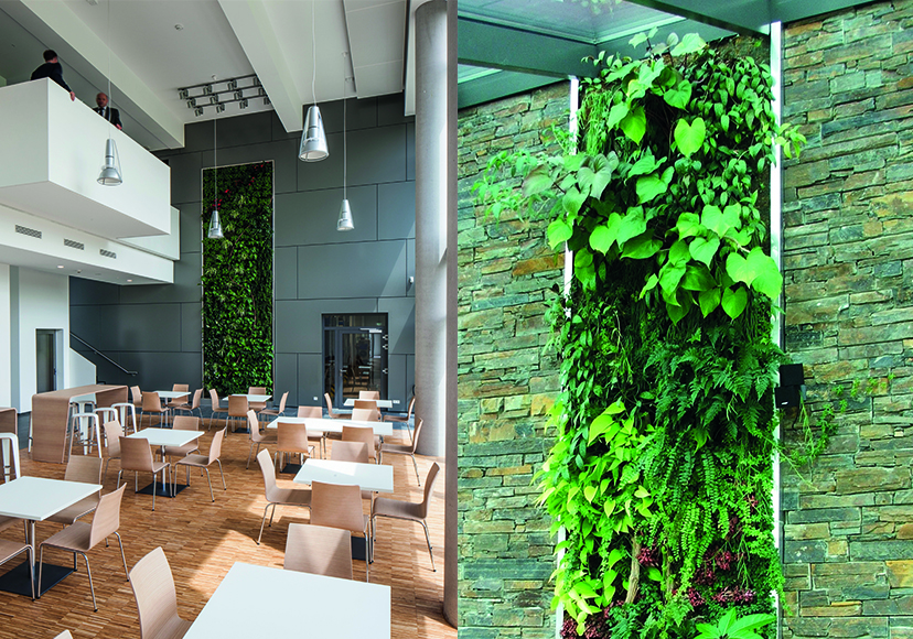 vertikaler garten - beispiele.jpg vertikaler garten - beispiele.jpg