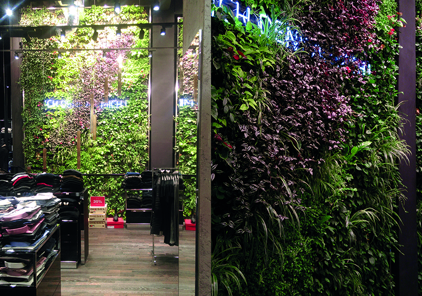 vertikaler - Garten - Beispiele.jpg vertikaler - Garten - Beispiele.jpg