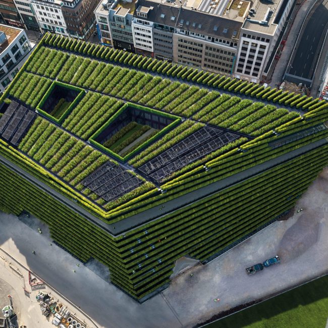 Kö-Bogen 2 Düsseldorf Gebäudebegrünung Dachbegrünung Leonhards