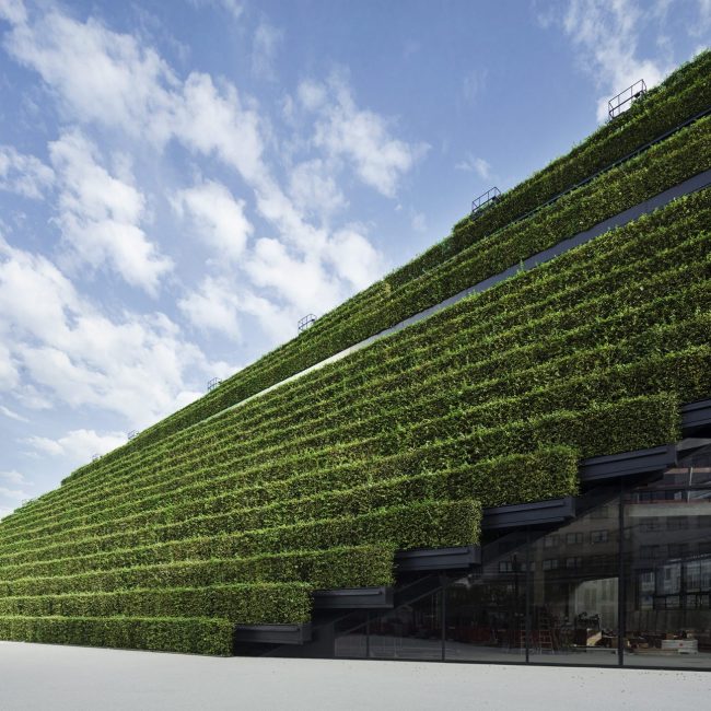 Kö-Bogen 2 Düsseldorf Gebäudebegrünung Dachbegrünung Leonhards