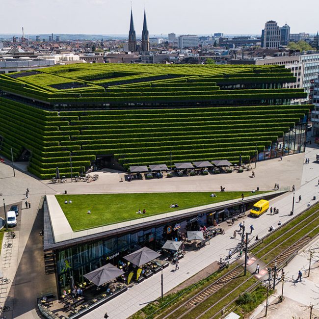Kö-Bogen 2 Düsseldorf Gebäudebegrünung Dachbegrünung Leonhards