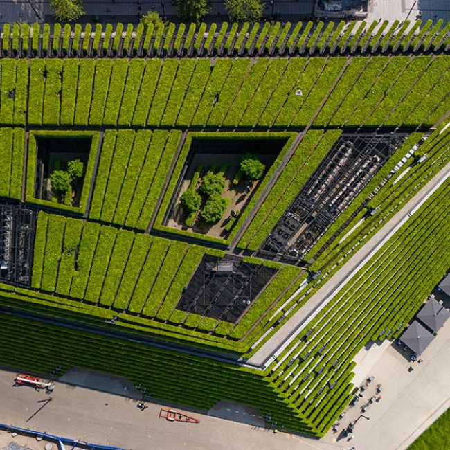 Kö-Bogen 2 Düsseldorf Gebäudebegrünung Dachbegrünung Leonhards