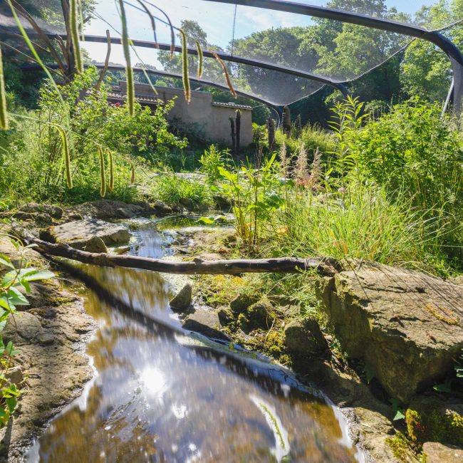 aralandia wuppertal zoo leonhards projekt referenz