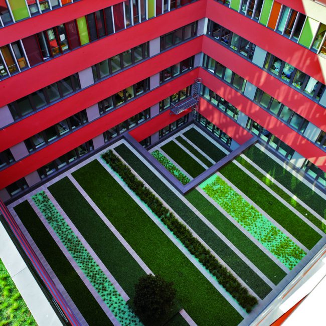 dachbegrünung klinikum offenbach leonhards