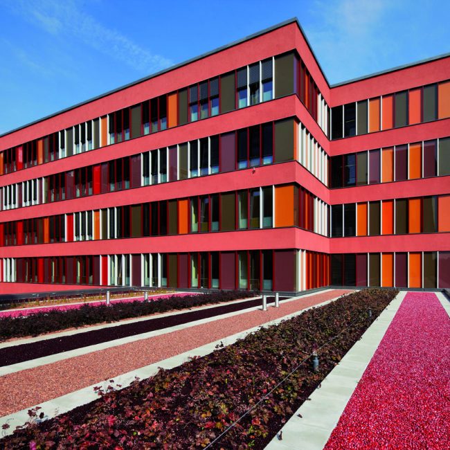 dachbegrünung klinikum offenbach leonhards