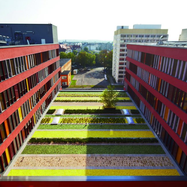dachbegrünung klinikum offenbach leonhards