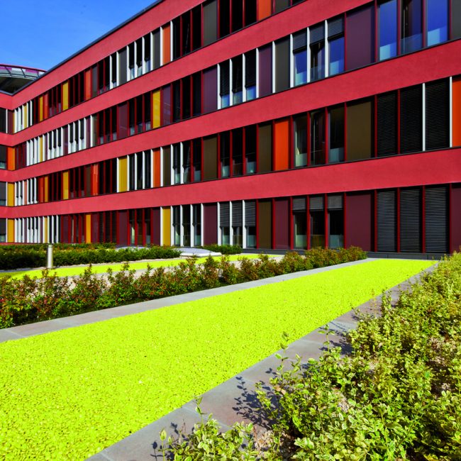 dachbegrünung klinikum offenbach leonhards