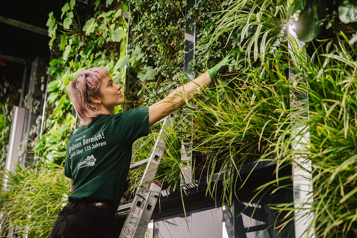 gebäudebegrünung innenraumbegrünung leonhards wuppertal