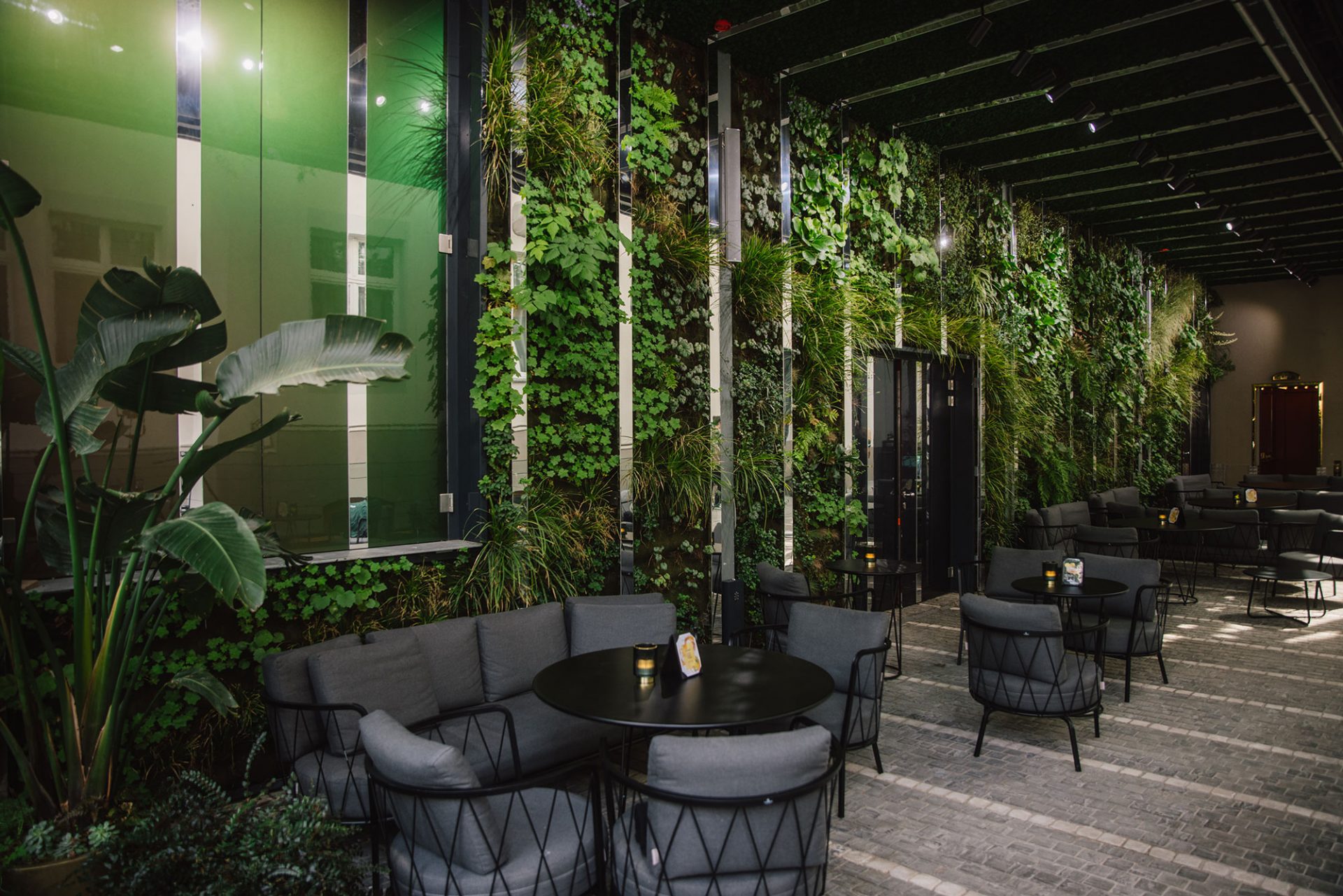 innenraumbegrünung living wall leonhards