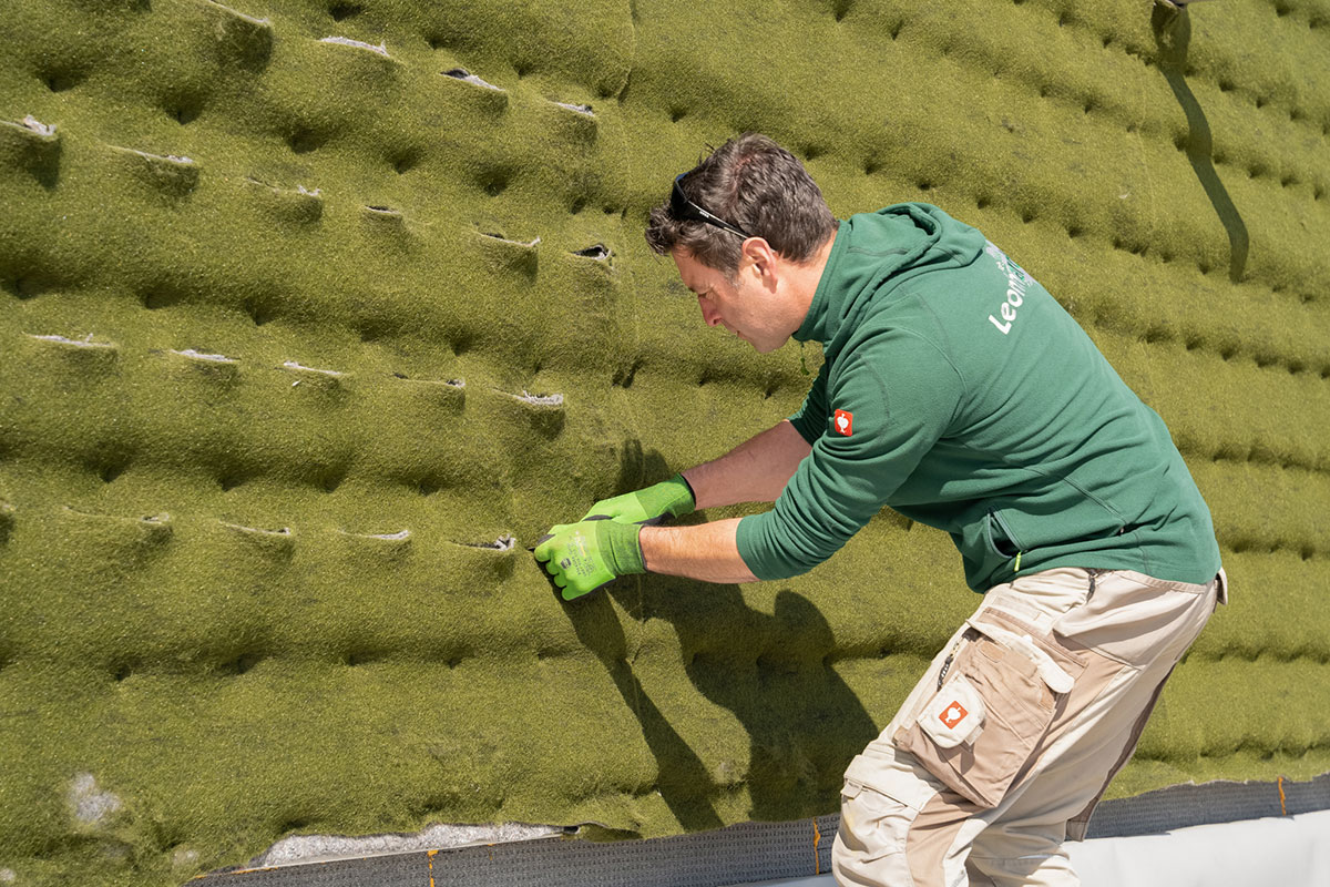 leonhards gebäudebegrünung großprojekte