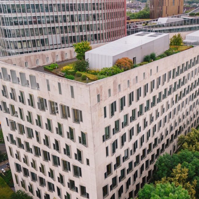 dkv köln leonhards gebäudebegrünung