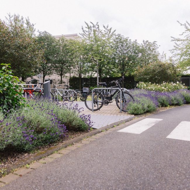 dkv köln leonhards gebäudebegrünung