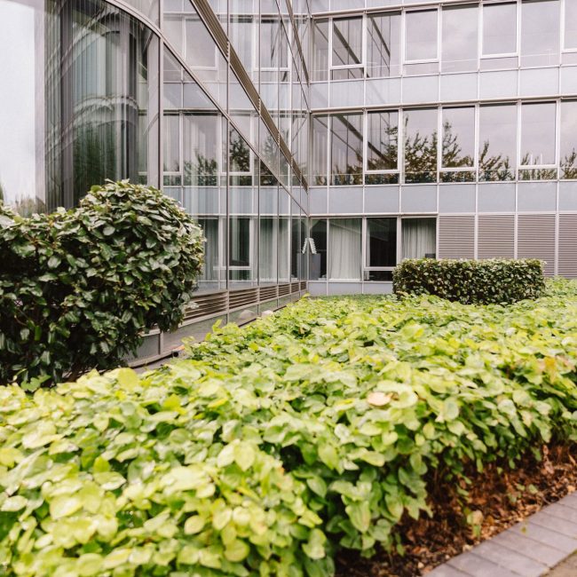 dkv köln leonhards gebäudebegrünung