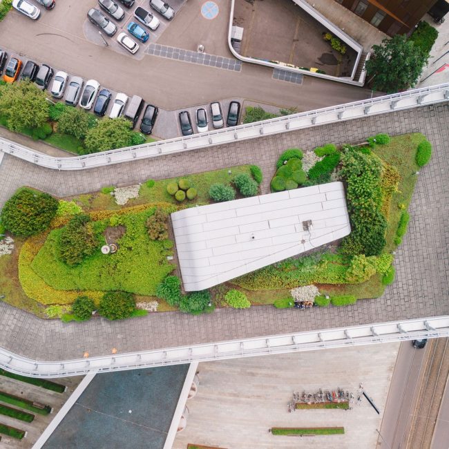 dkv köln leonhards gebäudebegrünung