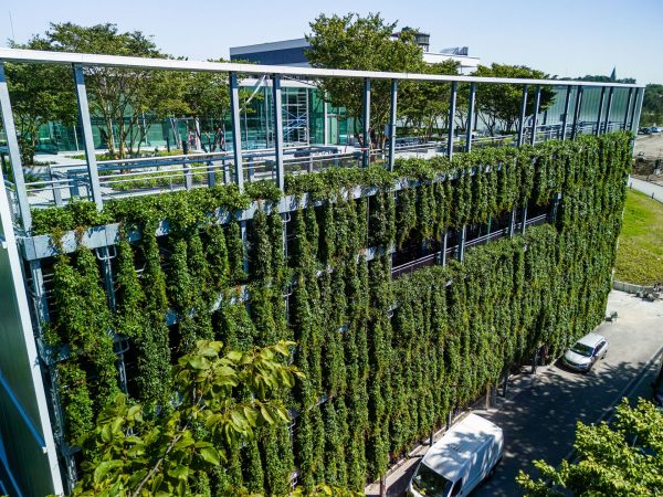 wilo dortmund fassadenbegrünung leonhards