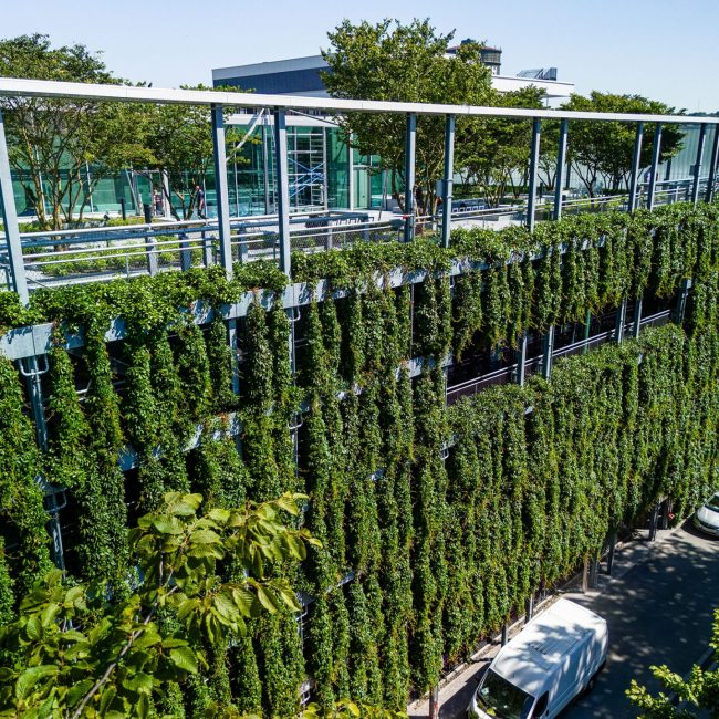 wilo dortmund fassadenbegrünung leonhards