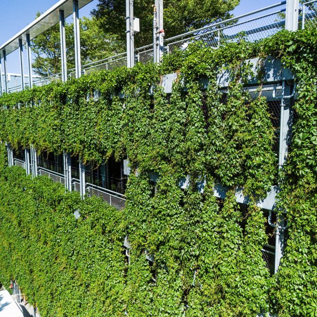 wilo dortmund fassadenbegrünung leonhards